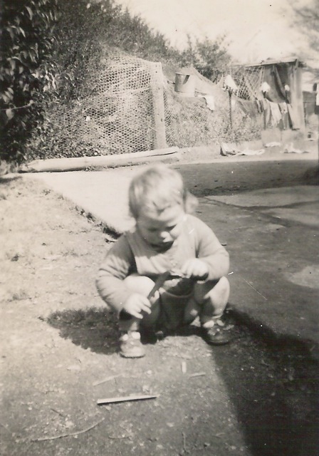 Loading Image